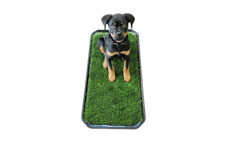 PET TURF