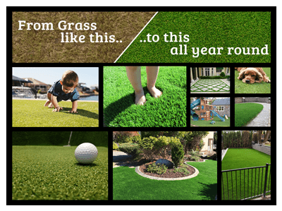 From Grass like this.. ..to this all year round