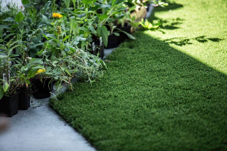 Everglades Turf: The Uncontested King of Premium Grass Blades
