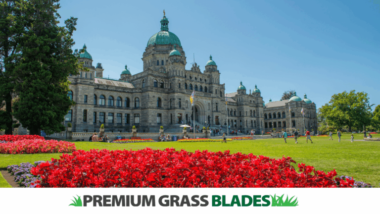 Artificial Turf and Urban Heat Islands: Cooling Down Victoria’s Neighborhoods