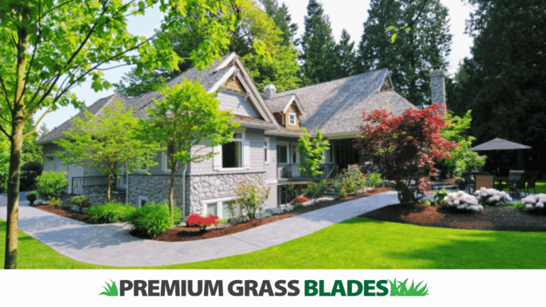 How Artificial Turf Aligns with Current Landscaping Trends in Colwood, BC