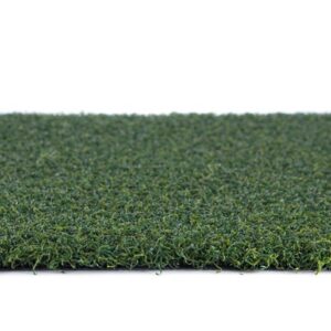 Premium Sports Putt 60 (Discontinued) Roll End (Batch CC5) Roll Size 15X7 $315 (Reg $628.95)