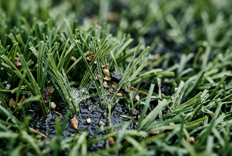 Can Artificial Turf Get Mold or Bacteria?